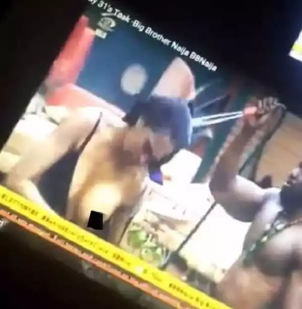 #BBNaija is an Immoral Show of Eroticism, Obscenity and Idleness - New Poll